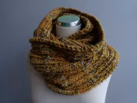 CRAZY COLOR, FAVORI